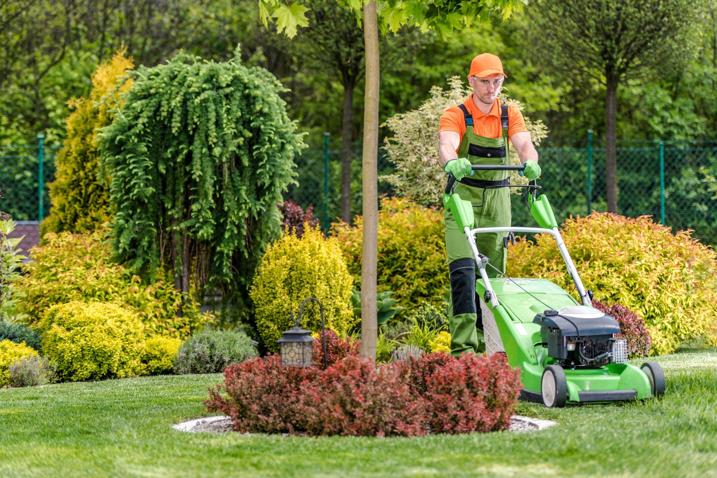 Profesionalus žolės pjovimas Vilniuje - Park Nord paslaugos